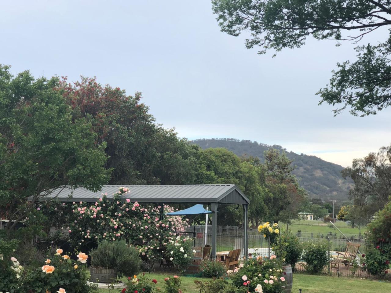Valley View Motel Murrurundi Luaran gambar